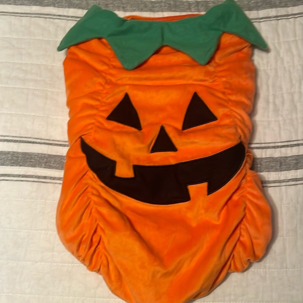 Large Dog Pumkin Costume